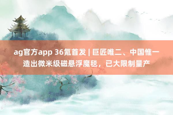 ag官方app 36氪首发 | 巨匠唯二、中国惟一造出微米级磁悬浮魔毯，已大限制量产