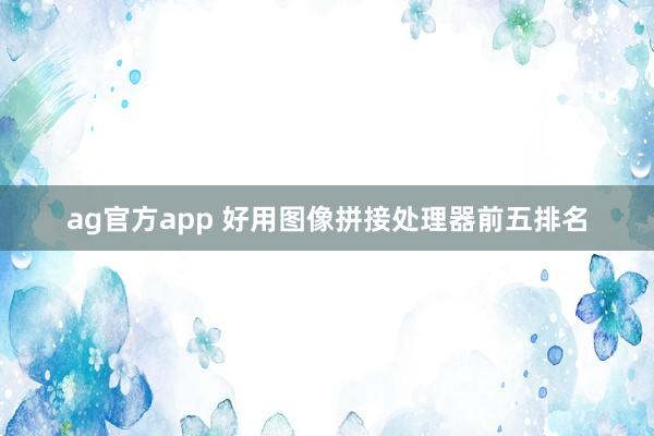 ag官方app 好用图像拼接处理器前五排名