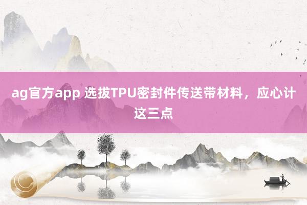ag官方app 选拔TPU密封件传送带材料，应心计这三点