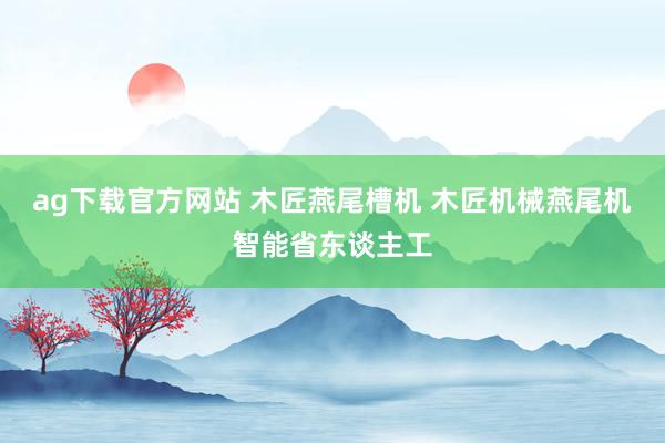 ag下载官方网站 木匠燕尾槽机 木匠机械燕尾机智能省东谈主工