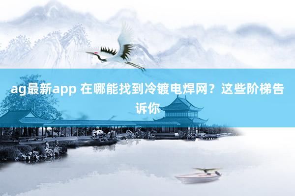 ag最新app 在哪能找到冷镀电焊网？这些阶梯告诉你