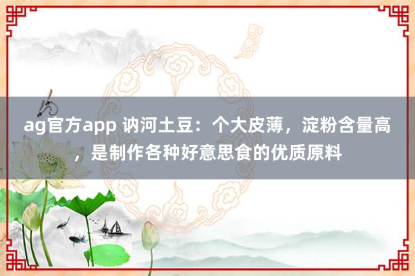 ag官方app 讷河土豆：个大皮薄，淀粉含量高，是制作各种好意思食的优质原料