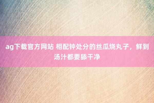 ag下载官方网站 相配钟处分的丝瓜烧丸子，鲜到汤汁都要舔干净
