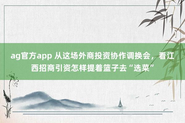ag官方app 从这场外商投资协作调换会，看江西招商引资怎样提着篮子去“选菜”