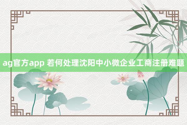 ag官方app 若何处理沈阳中小微企业工商注册难题