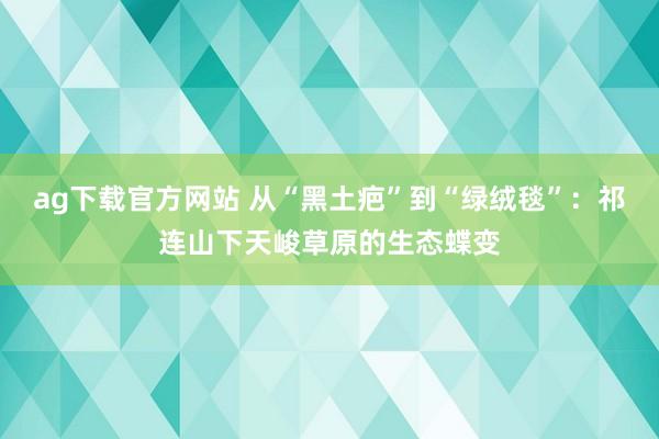 ag下载官方网站 从“黑土疤”到“绿绒毯”：祁连山下天峻草原的生态蝶变