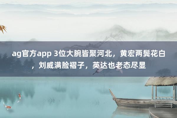 ag官方app 3位大腕皆聚河北，黄宏两鬓花白，刘威满脸褶子，英达也老态尽显