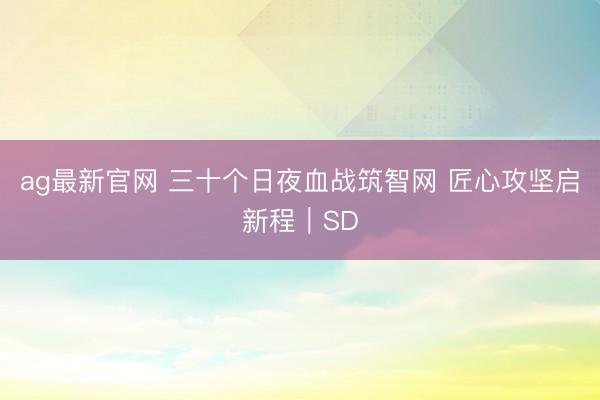 ag最新官网 三十个日夜血战筑智网 匠心攻坚启新程｜SD